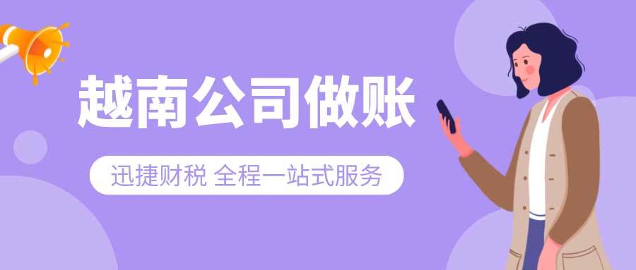 越南公司做账审计