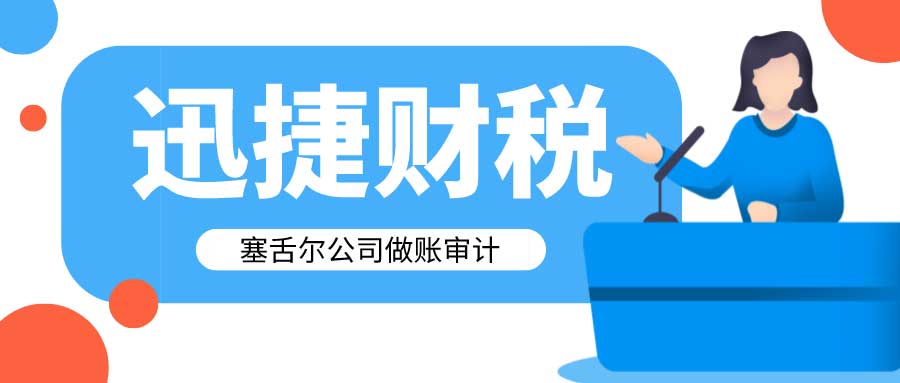 塞舌尔公司做账审计