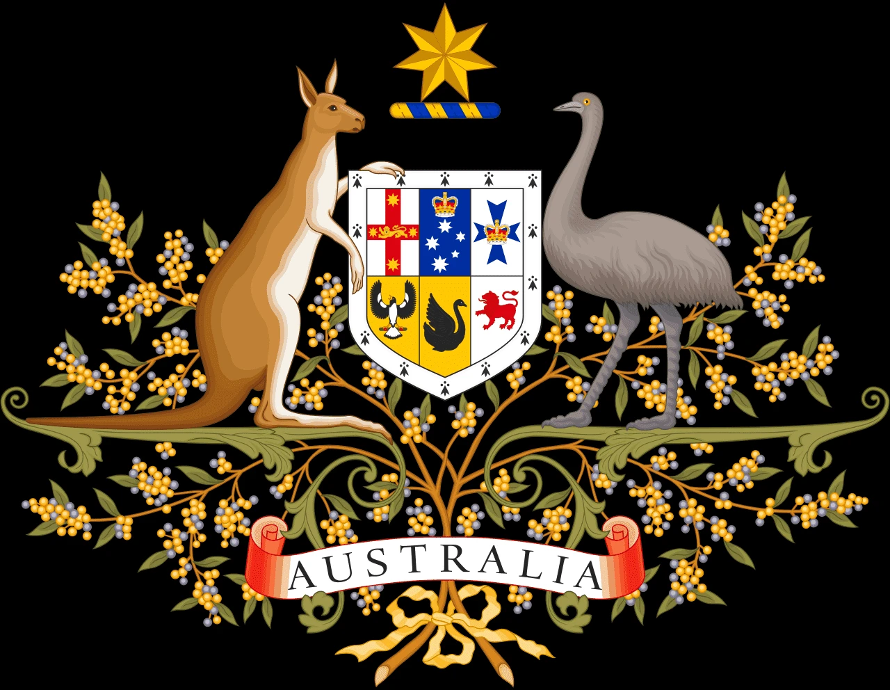 深入解析AUSTRAC牌照，确保您的金融业务在澳大利亚合法合规的关键步骤