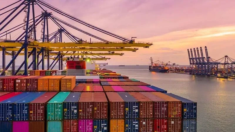 特朗普宣布再度对中国商品加征20%关税：如何应对市场挑战，探索多元化战略的机会