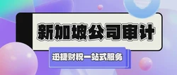 新加坡公司审计的要求是怎么样的，在什么情况下需要做审计了