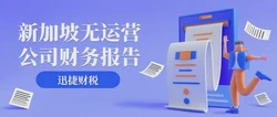 新加坡无运营公司财务报告的必要性、作用与应用场景深度解析