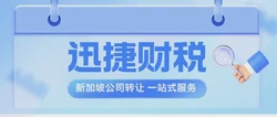 新加坡公司转让：流程、注意事项与策略
