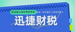 新加坡公司年审和年检：维护企业合规与信誉的年度大考