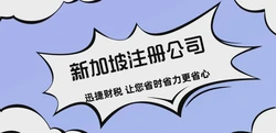 探索新加坡公司注册范围：全面指南助你开启成功之路