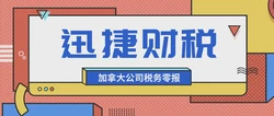 加拿大公司税务零报条件、作用与细节深度探讨