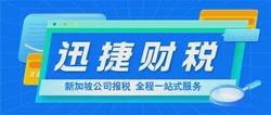 新加坡审计报告全面解析，范围、要求