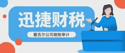 塞舌尔公司做账审计