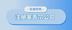 塞舌尔公司注册成功启示录：企业资料体系的完整构建