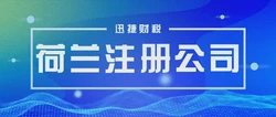 荷兰公司注册全攻略：优势、类型选择与后续管理全解