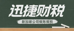 新加坡税务实战指南，新加坡企业如何有效规避海外收入的双重征税？