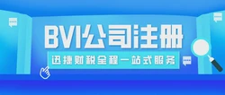 BVI公司注册要求，全面指南与必备条件解析