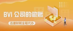 BVI公司不年审可以吗？BVI 公司的做账审计包括什么？