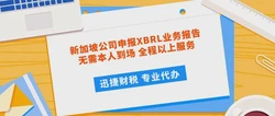 新加坡公司申报XBRL业务报告，提升透明度与效率的金融利器