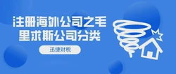 怎么注册海外公司之毛里求斯公司分类？