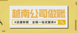 越南公司做账审计