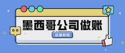 墨西哥公司做账报税深度解析，零申报与强制做账的界限