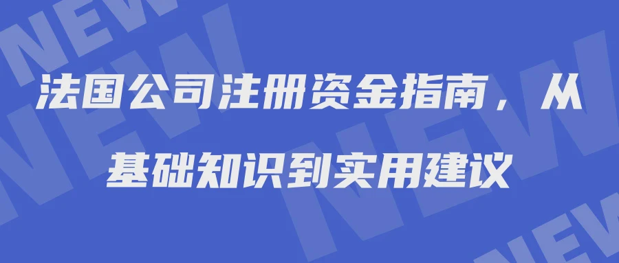 法国公司注册资金指南，从基础知识到实用建议