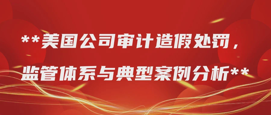 美国公司审计造假处罚，监管体系与典型案例分析