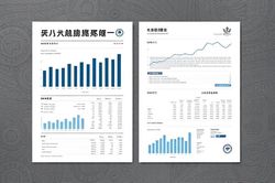 掌握关键：香港公司年检审计报告全攻略——确保合规无忧的必备指南